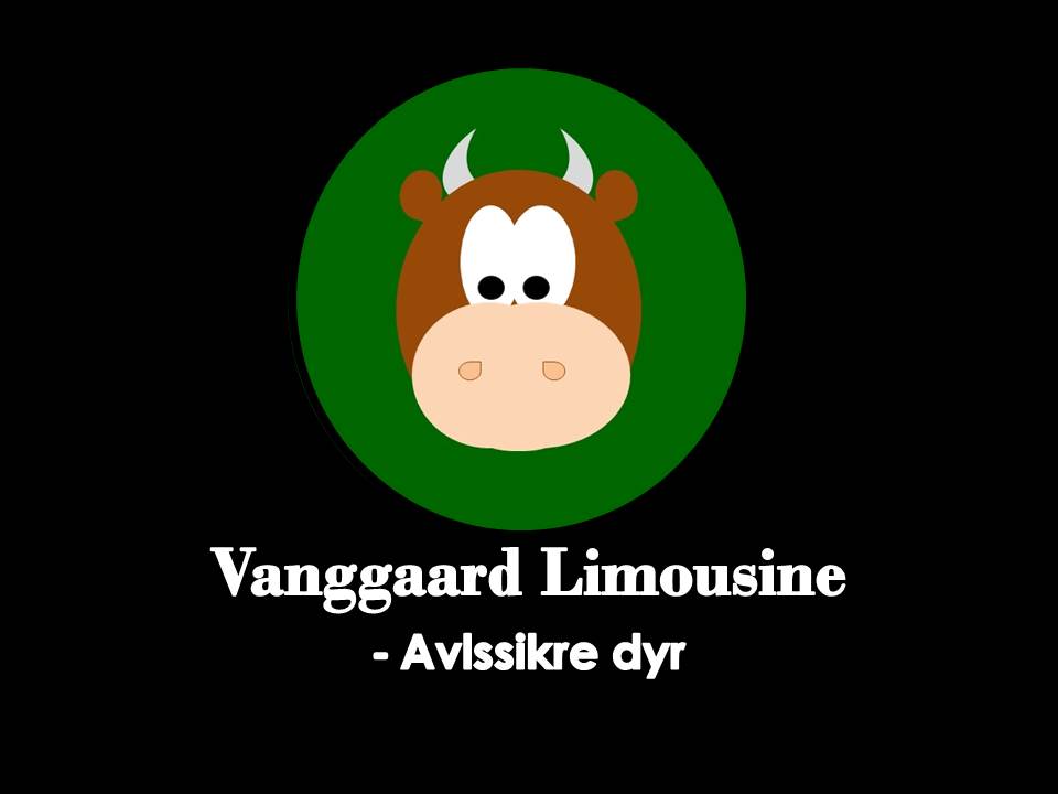 vanggaard limousine.jpg